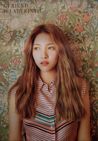 POSTER LABYRINTH (Sowon)